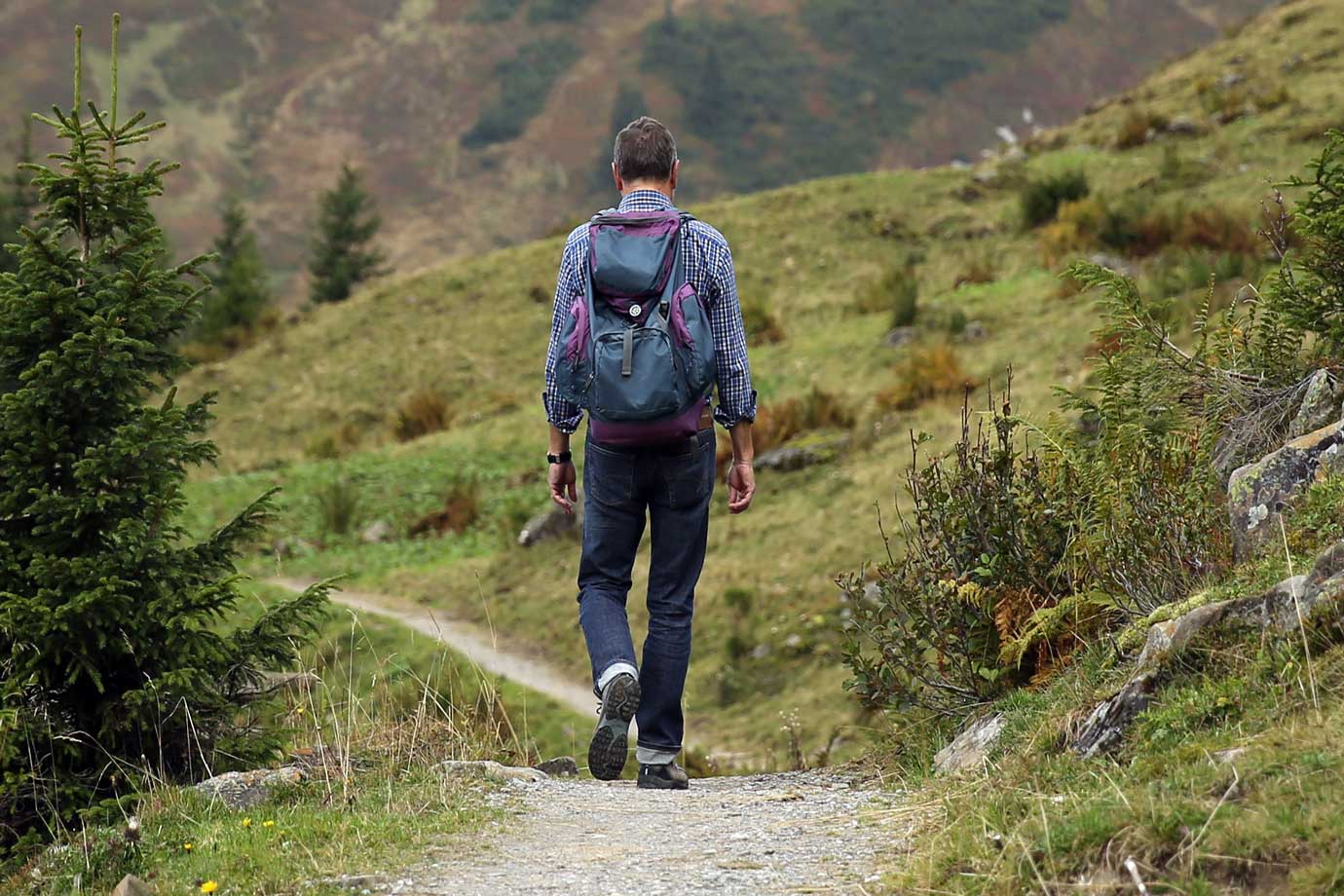 landscape-nature-path-wilderness-walking-mountain-934320-pxhere.com